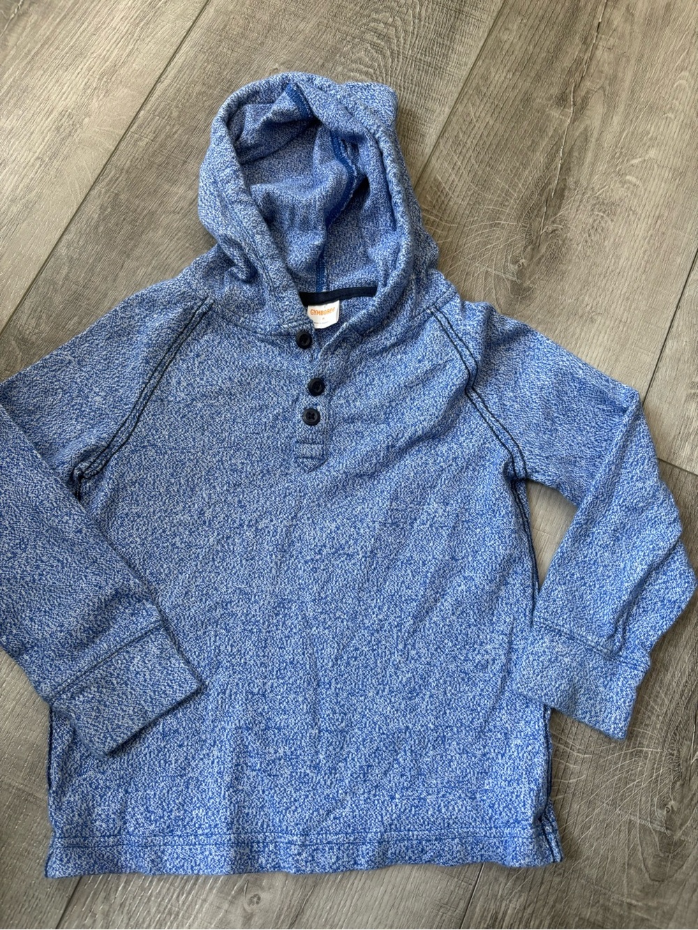 Gymboree Blue Hooded Crewneck Sweater